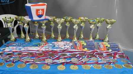 Majstrovstvá Slovenska 2015 - výsledky